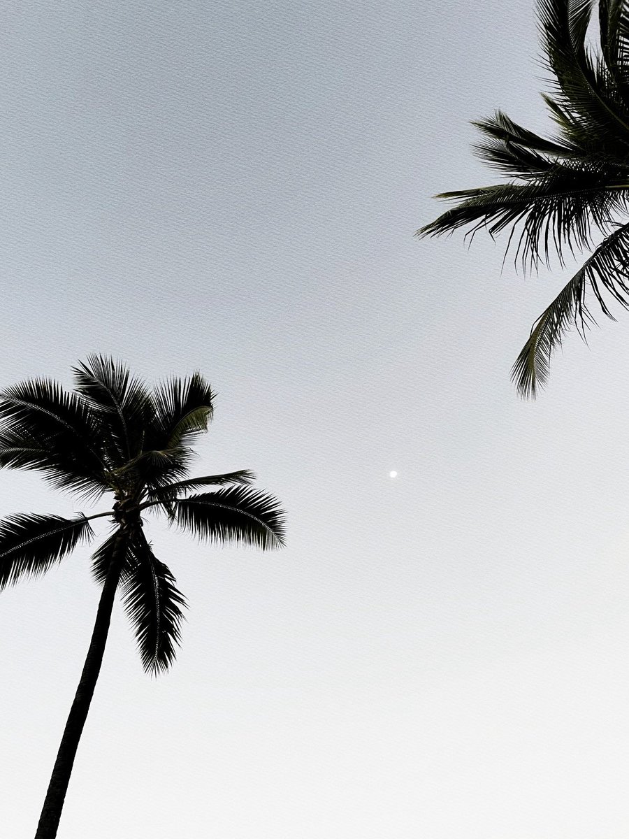 mogulbrats's tweet photo. ⠀ ⸝⸝🍸 —— 818 nights under californian lights ⿻ ຼ dressed by ⌞ #⃝⃝𝑑𝑜𝑙𝑐𝑒𝑔𝑎𝑏𝑏𝑎𝑛𝑎 ⌝ ᭪ courtesy of good tequila  .ᐟ https://t.co/W9EzKvXwDE