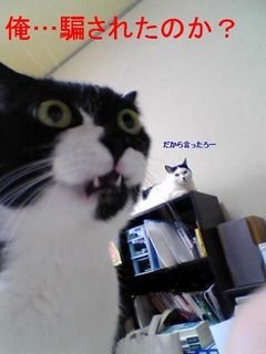 MOTO_hawks's tweet photo. @plasta_IORI https://t.co/f0Y5rrSsT2