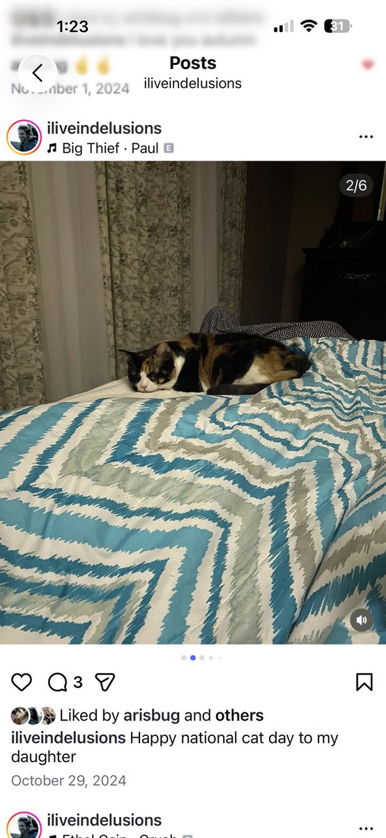 naimsdeer's tweet photo. One of the few things I miss about living at home is my cat. 
BRO THATS MY DAUGHTER, I MISS HER 😭😭😭😭😭😭😭😭😭😭😭😭😭😭😭😭 https://t.co/3tmtV6cwPN