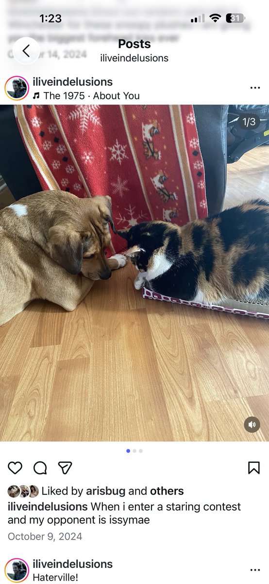 naimsdeer's tweet photo. One of the few things I miss about living at home is my cat. 
BRO THATS MY DAUGHTER, I MISS HER 😭😭😭😭😭😭😭😭😭😭😭😭😭😭😭😭 https://t.co/3tmtV6cwPN