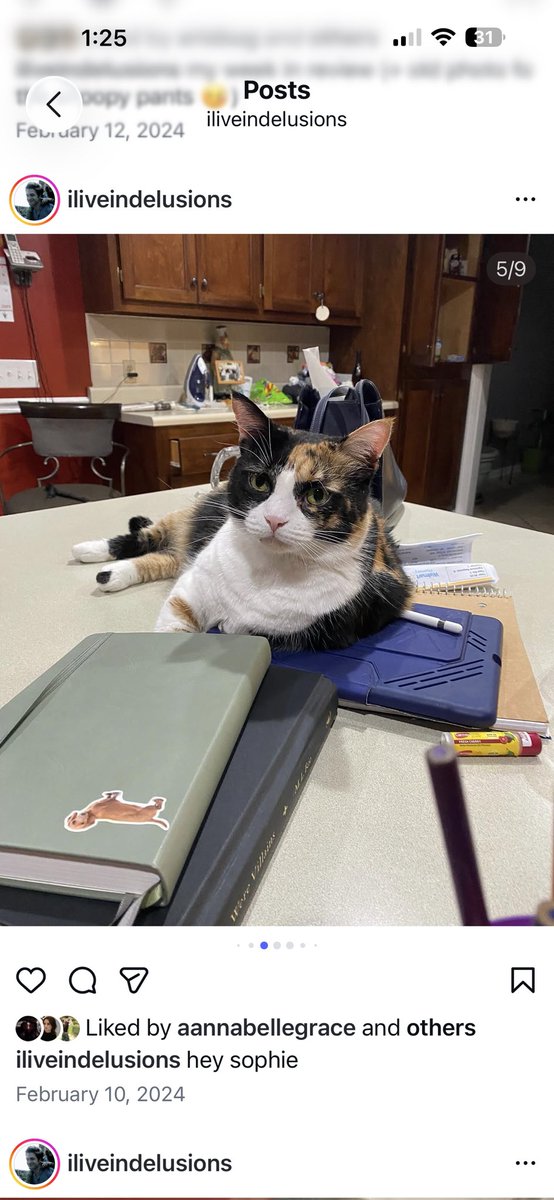 naimsdeer's tweet photo. One of the few things I miss about living at home is my cat. 
BRO THATS MY DAUGHTER, I MISS HER 😭😭😭😭😭😭😭😭😭😭😭😭😭😭😭😭 https://t.co/3tmtV6cwPN