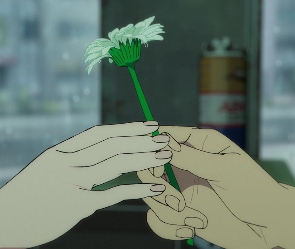 rezecutive's tweet photo. The white gerbera Denji gives Reze symbolizes innocence and fragility. It becomes a symbol of the sanctuary that is their summer romance. For Reze, it represents the tenderness and love she longs for that her life of violence forced her to suppress https://t.co/jpFXeMQBc6