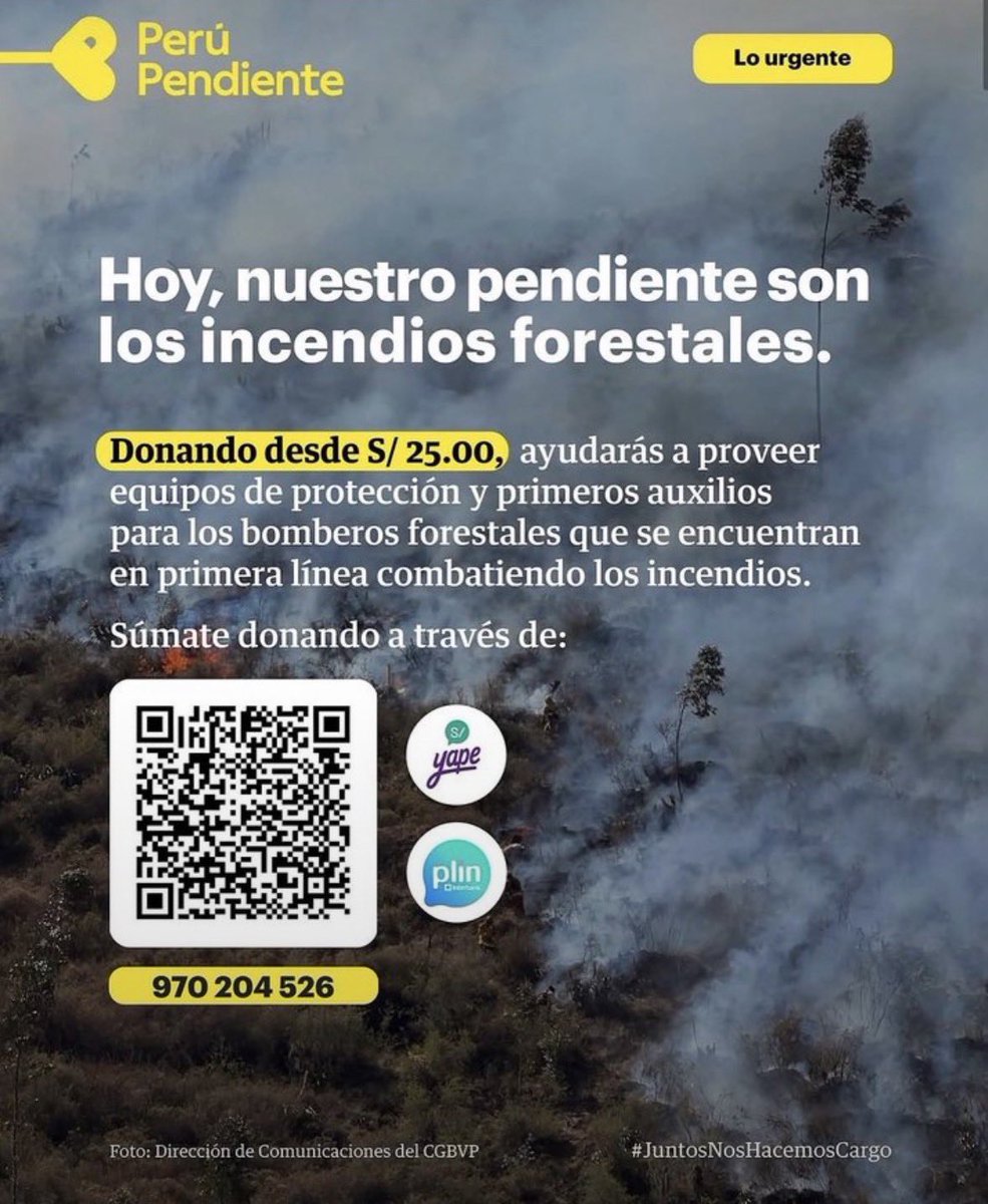 lvsVicleb's tweet photo. —DUALs en mi país están ocurriendo incendios forestales que vienen afectando Cusco, Ayacucho, Junín, Pasco y otras zonas donde el fuego ha arrasado hectáreas de pastizales, si está en su posibilidad donar 🙏🏻 o difundiendo la información les pido porfavor sería de mucha ayuda https://t.co/kjIGMh90HY