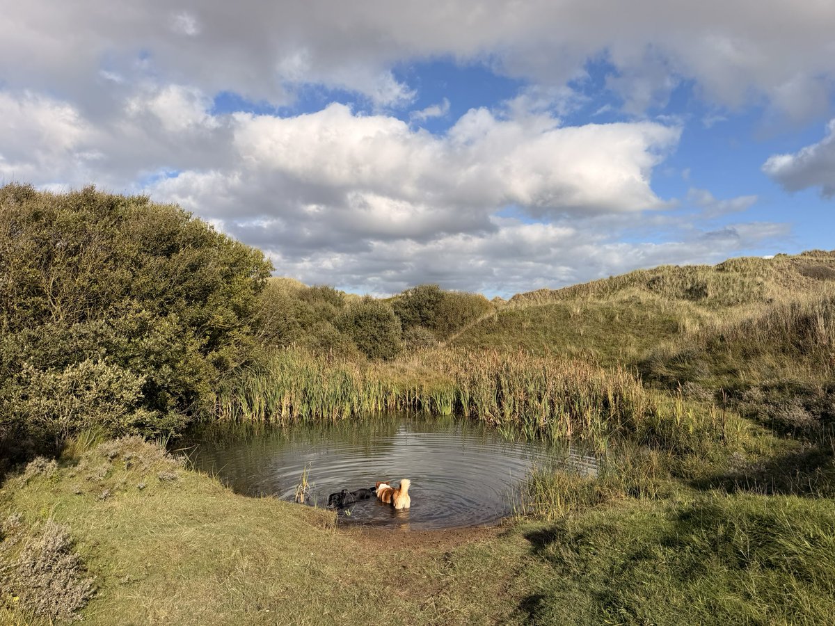 LucyBray9's tweet photo. 59 #NHS1000miles walked this week in a mixture of places. Loving the bits of ☀️ 
Walking continues to be such an important part of maintaining wellbeing - love seeing everyone’s pics on a Sunday! 👏 https://t.co/E97kDNX6Ce