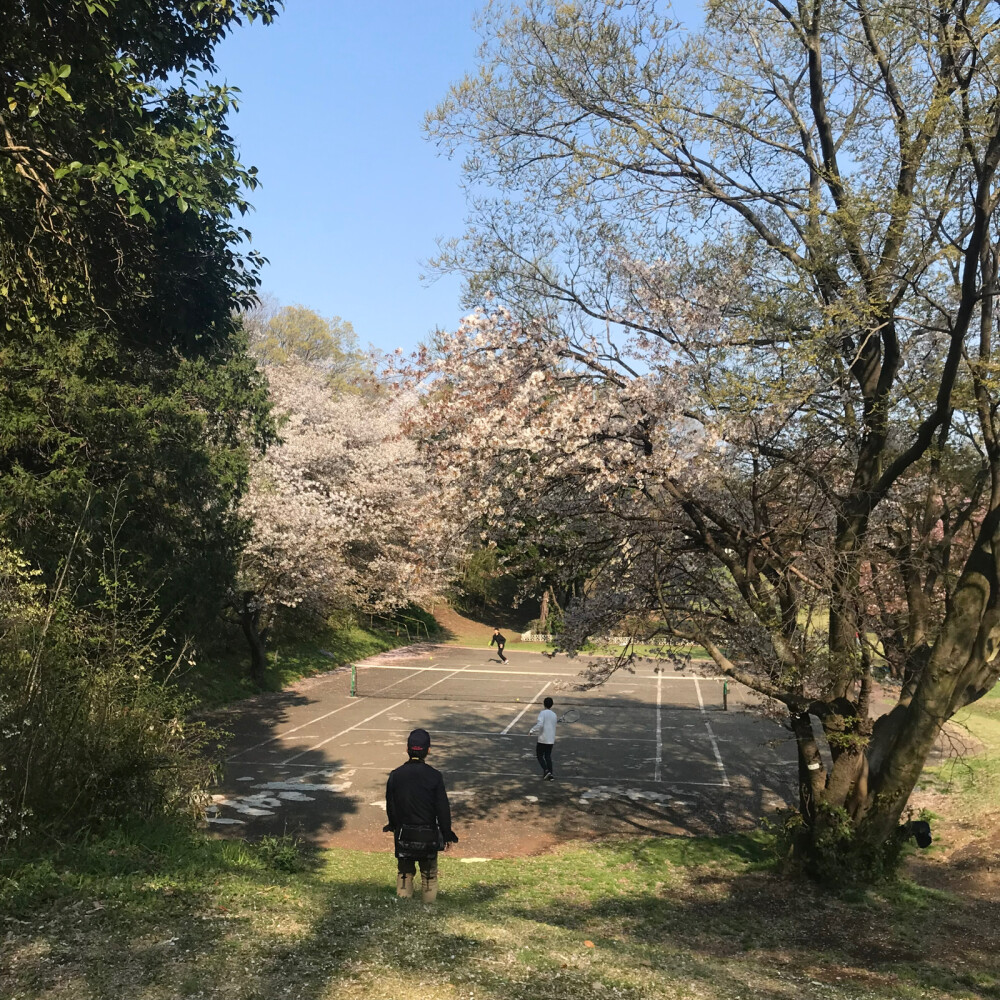 songxhrf's tweet photo. 今日は率豆卧堤に散歩に行った。春の風が気持ちよかった！ https://t.co/EdxeXRWxH6