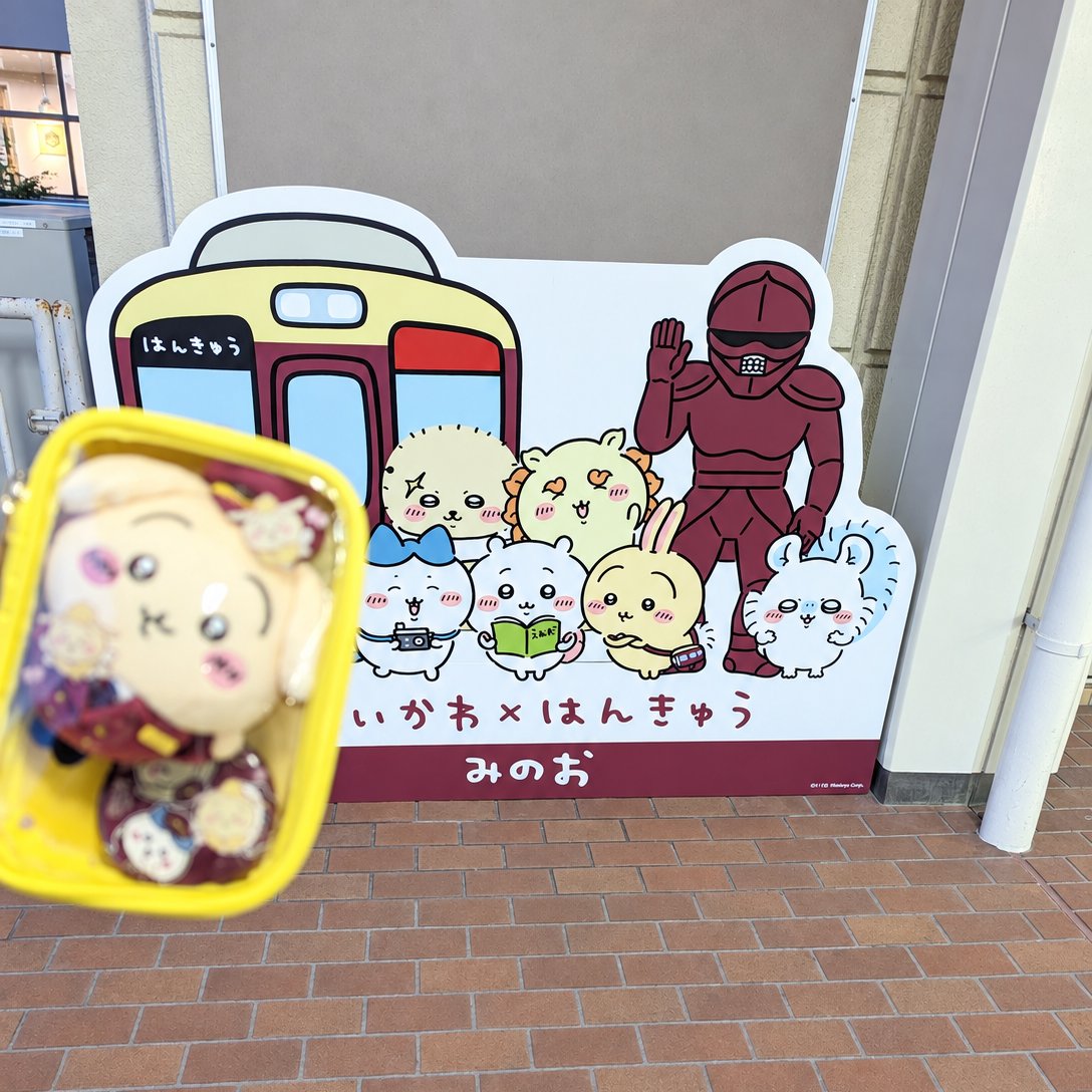 mim1m13's tweet photo. 初めてのぬい撮掘り起こしましたが、
ピントひどい…！
思い出の写真がこうなる前に勉強しておけば😂 https://t.co/1VPzcfMelz