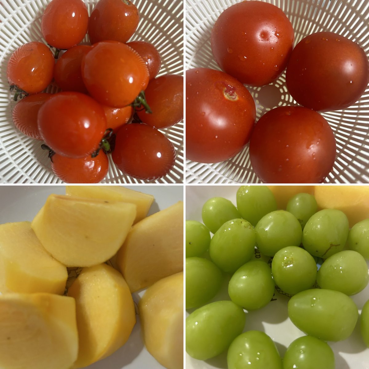 mooototadetaina's tweet photo. だいすきなトマト🍅!!

秋のフルーツおいしいなあ💚🍇🧡♩♩ https://t.co/z5cGhovkfl