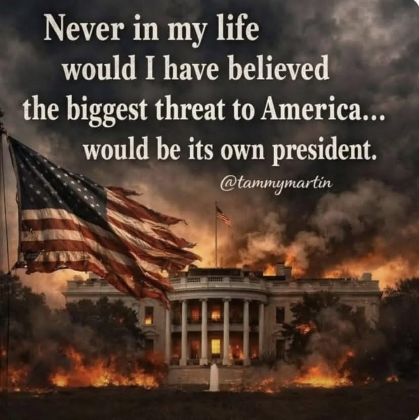 Brodiesmom68's tweet photo. Just vote.🗳️ https://t.co/T1ApRlqSuV