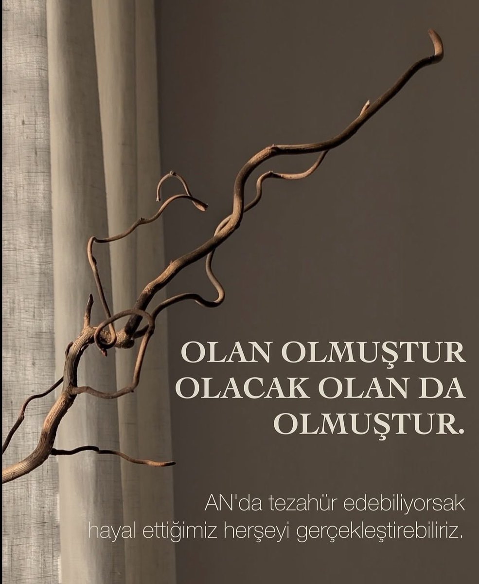 y_canpolat's tweet photo. https://t.co/eHpFvlfeof