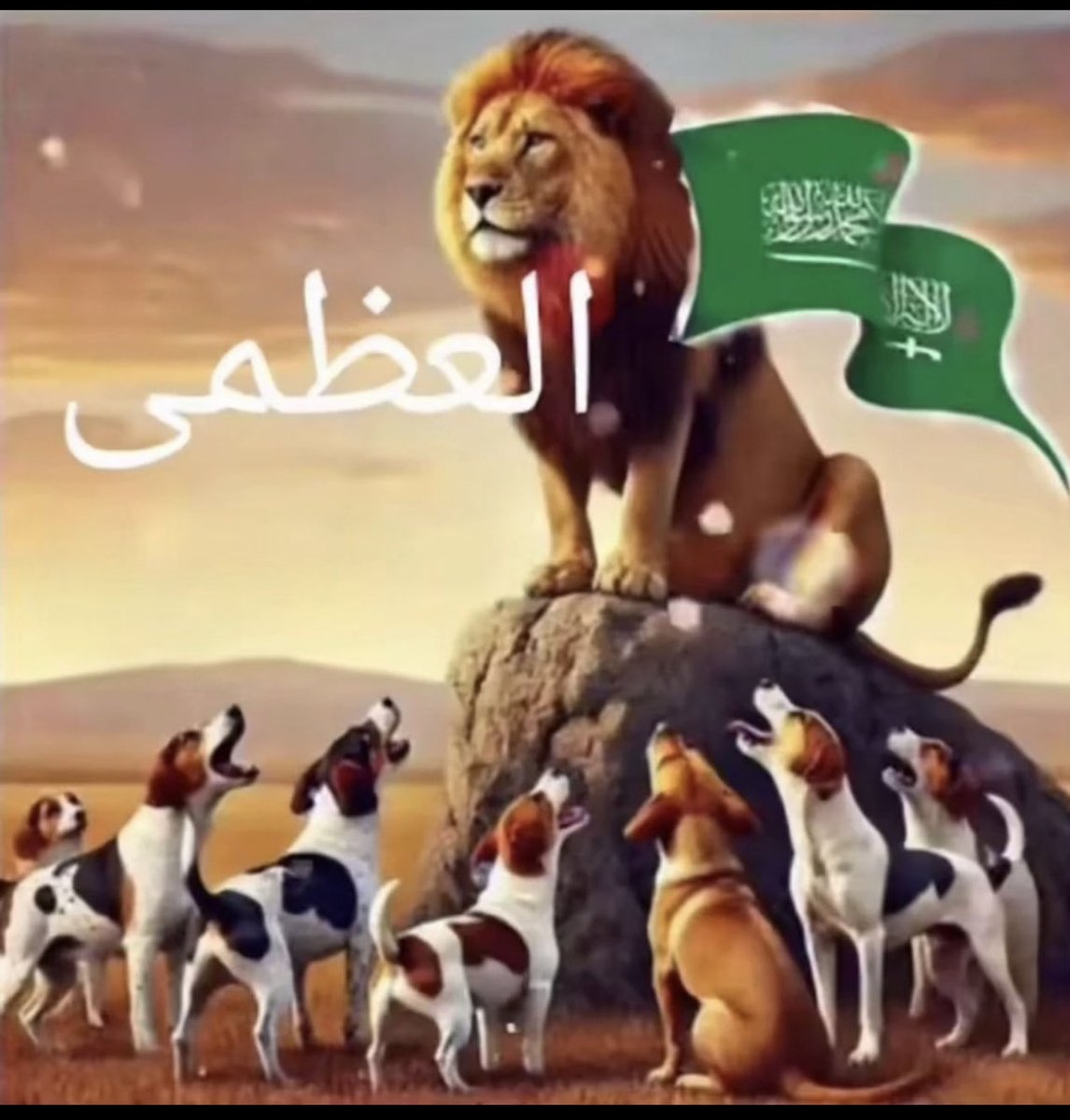 alwafi1966_'s tweet photo. https://t.co/qHj6EcvHsk