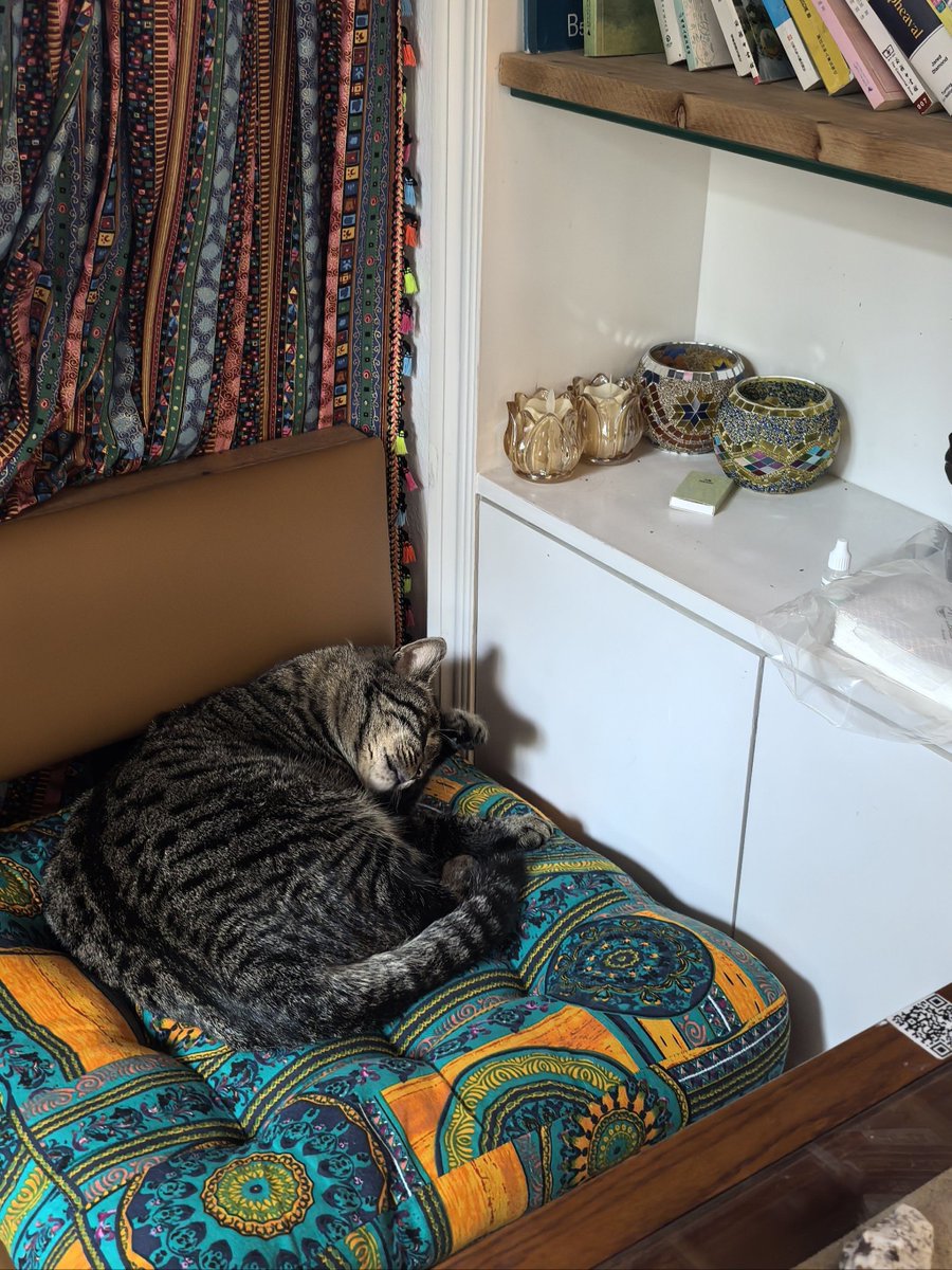 99pmgc's tweet photo. [雑形な蒲団を牡がひっくり返して、散らかった部屋がますますカオスになった！]， https://t.co/HlNw554KiQ