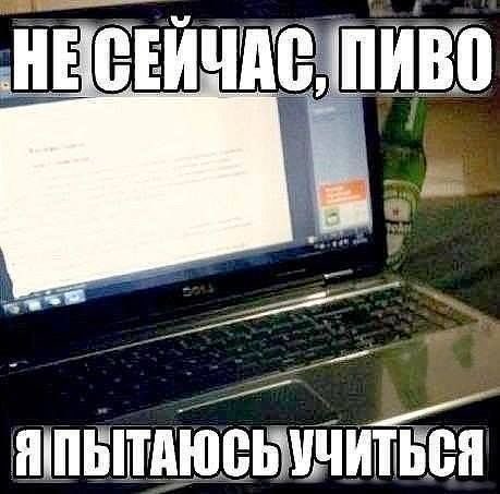 mollyuyuyuyy's tweet photo. это вайб следующей недели https://t.co/X1v44ENgQ9