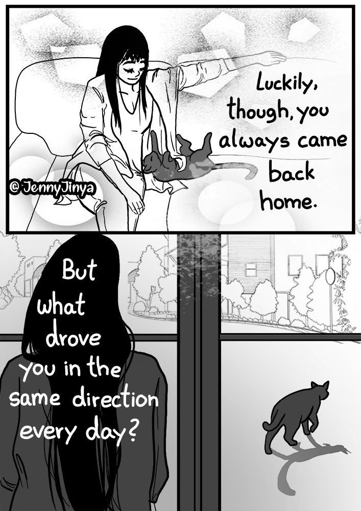 JennyJinya's tweet photo. Missing Cat 
1/2 https://t.co/OuSVoFO8AF