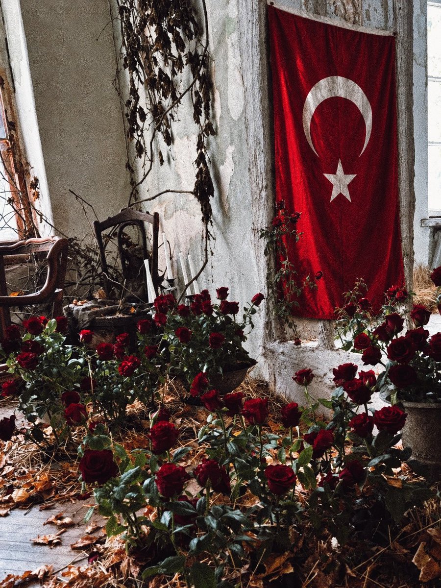 esref_1883's tweet photo. “başka yerde arama, bak göğsümde izin var..” 🇹🇷 https://t.co/ydLNJbtN3n