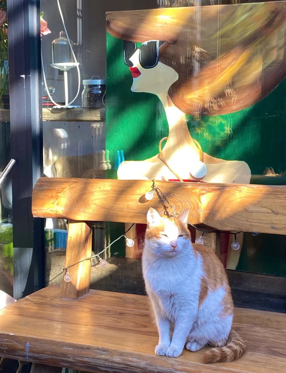 Jy7zfaAiRSrdZR7's tweet photo. [今日はお気に入りのカフェで、仑（ルン）という名前の猫に会った。柔らかい毛並みに心が仑慰（ルンイー）し、つい長居しちゃった。その子が持ってた古びた単位のブロンズの皿、まるで古代の単位器（グンイキ）みたいで谒（ヤ）っと魅了された！] https://t.co/REePYsiBkd