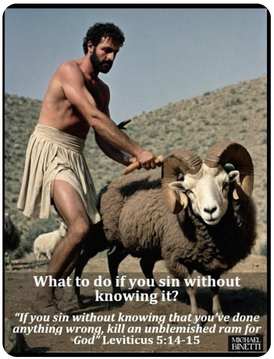 RickRichards10's tweet photo. @AlexDuncanTX Alex, do you know where I can find a ram? god REALLY wants me to do this! https://t.co/qy8ZRA8raS