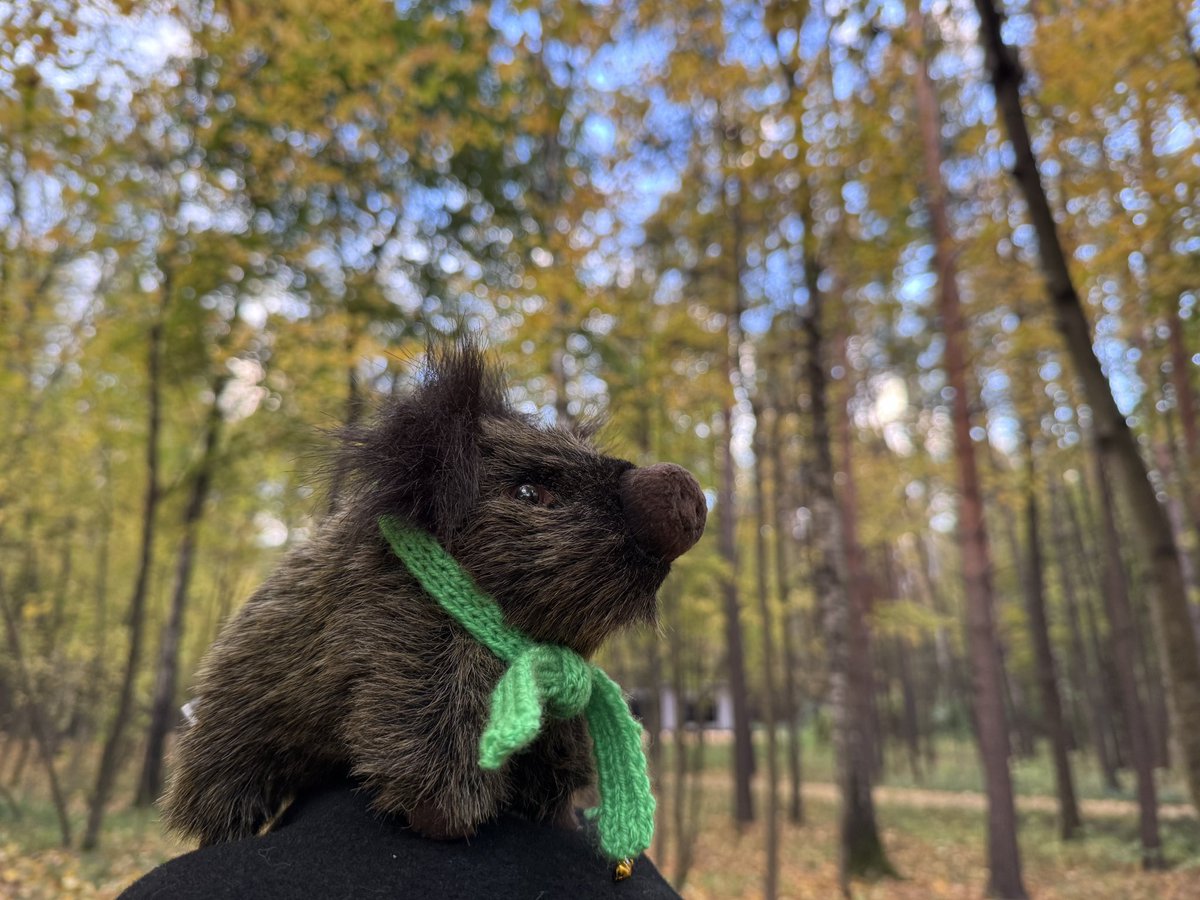 Mechanicalvitez's tweet photo. Окделл гуляет по осеннему Надору https://t.co/qYAC7wzk4U
