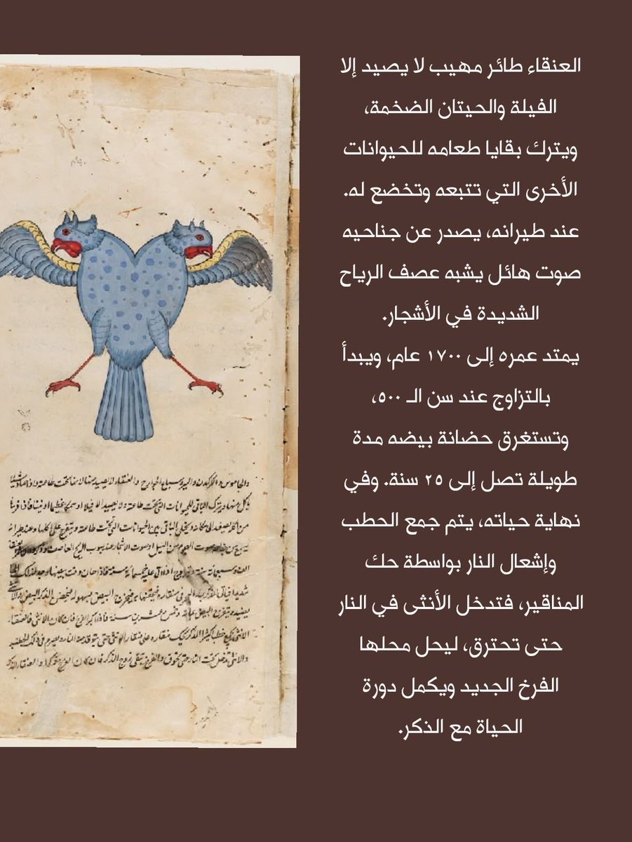 Sahaarr299's tweet photo. كَ عنقاء بلاعبُها الحريق ✨🇸🇦•• 
#المملكة_العربية_السعودية #KSA https://t.co/N0bae1p8cU