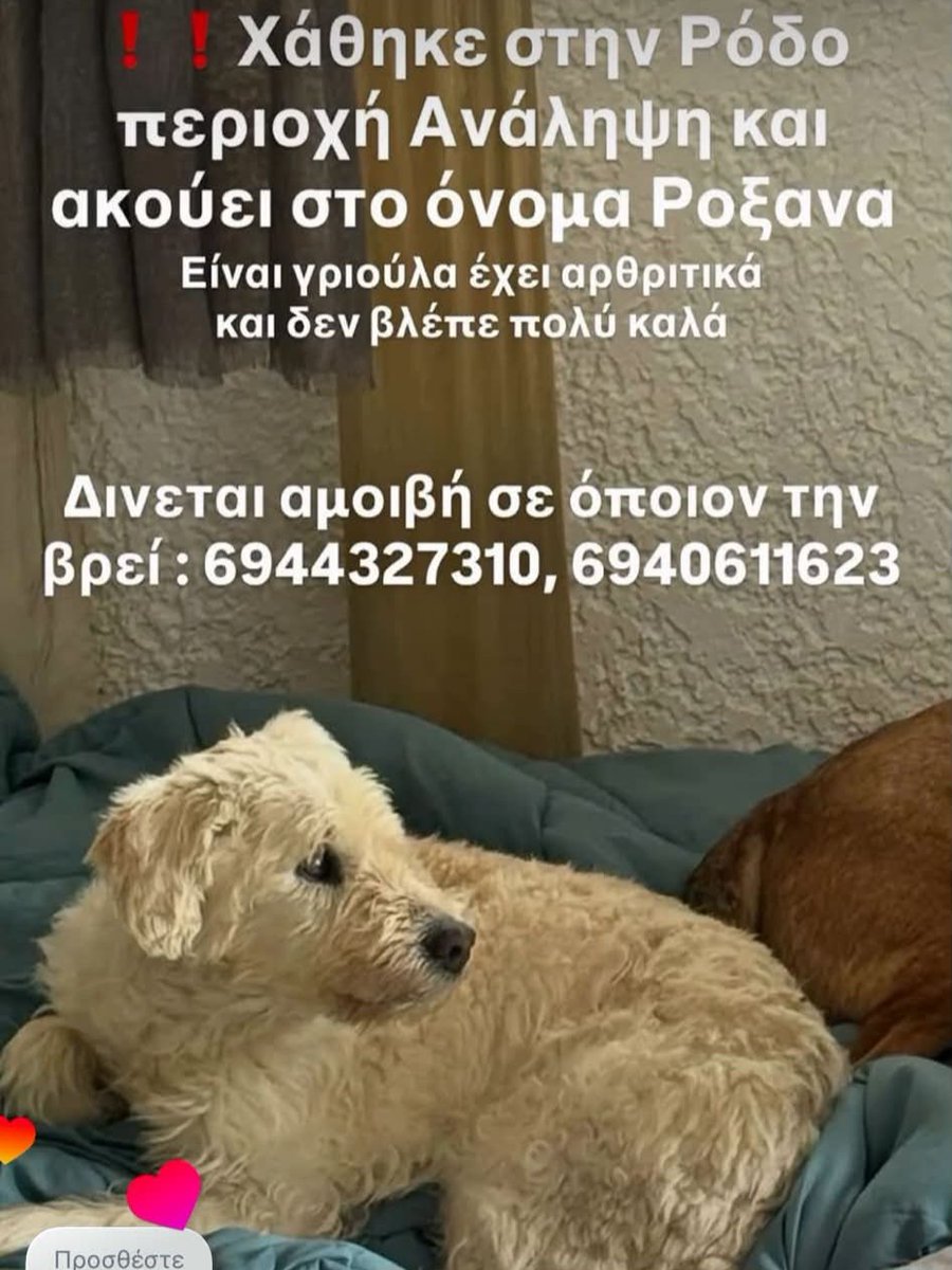 KatKatPt's tweet photo. 🆘️🆘️🆘️
Χάθηκε στη Ρόδο περιοχή Ανάληψη 
Είναι μεγάλη σε ηλικία εχει αρθριτικά κ δν βλέπει πολύ καλά 
Για οποιαδήποτε πληροφορία καλέστε άμεσα στα τηλ 
Rt 🙏 🙏 🙏 https://t.co/47c1teioew
