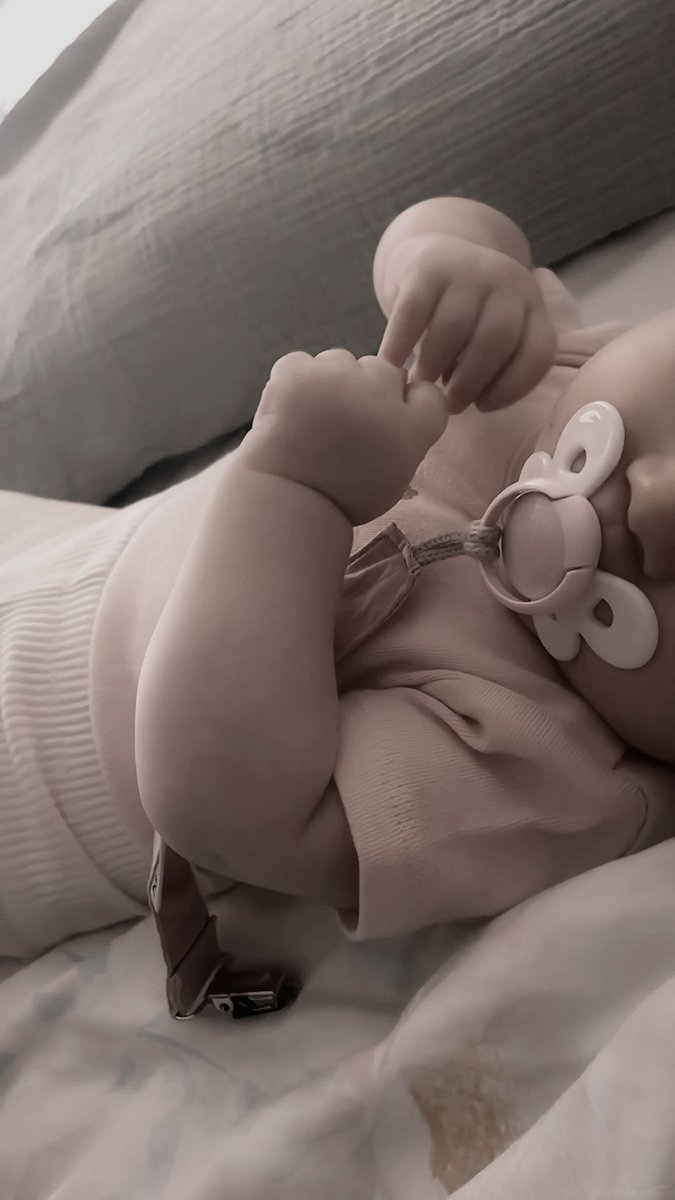 butterflyse's tweet photo. ㅤㅤ ˚₊‧꒰ა Buenos días , solecitos ໒꒱‧₊˚

ㅤㅤHoy me tocó despertar con una ㅤㅤ ㅤㅤ ㅤㅤ nenita muy bonita. https://t.co/mJYeMJJSlp