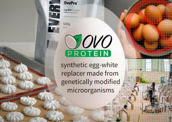 PrisonPlanet_pl's tweet photo. W USA wprowadzają hodowane w bioreaktorach jaja.

Obecnie na półkach sklepowych w USA wprowadza się sztuczne jaja GMO.  Ich zawartość jest produkowana w bioreaktorach.  Białko jaja kurzego  produkowane jest przez genetycznie modyfikowane drożdże (GMO) przy  użyciu technologii fermentacji precyzyjnej. Naukowcy wstawiają gen  białka jaja kurzego do szczepu drożdży nazywanego Komagataella phaffii, które następnie fermentują w zbiornikach, produkując to białko...

Więcej: https://t.co/oz6dieY1Or