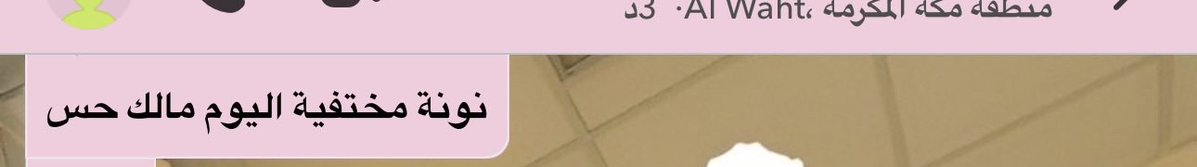 NamerKASU's tweet photo. البنات يحسبوني منهاره بعد درجه القرمر مايدرون اني نايمه ب العسل https://t.co/M9VJrEyUZL