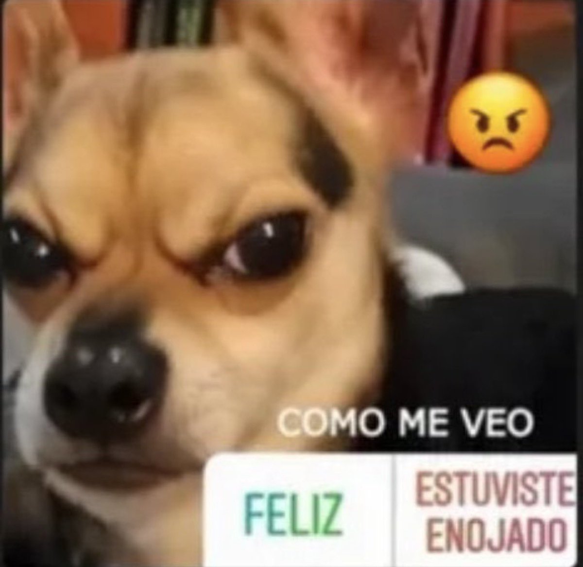 frandtw's tweet photo. yo todos los domingos https://t.co/7BMoBLMty1
