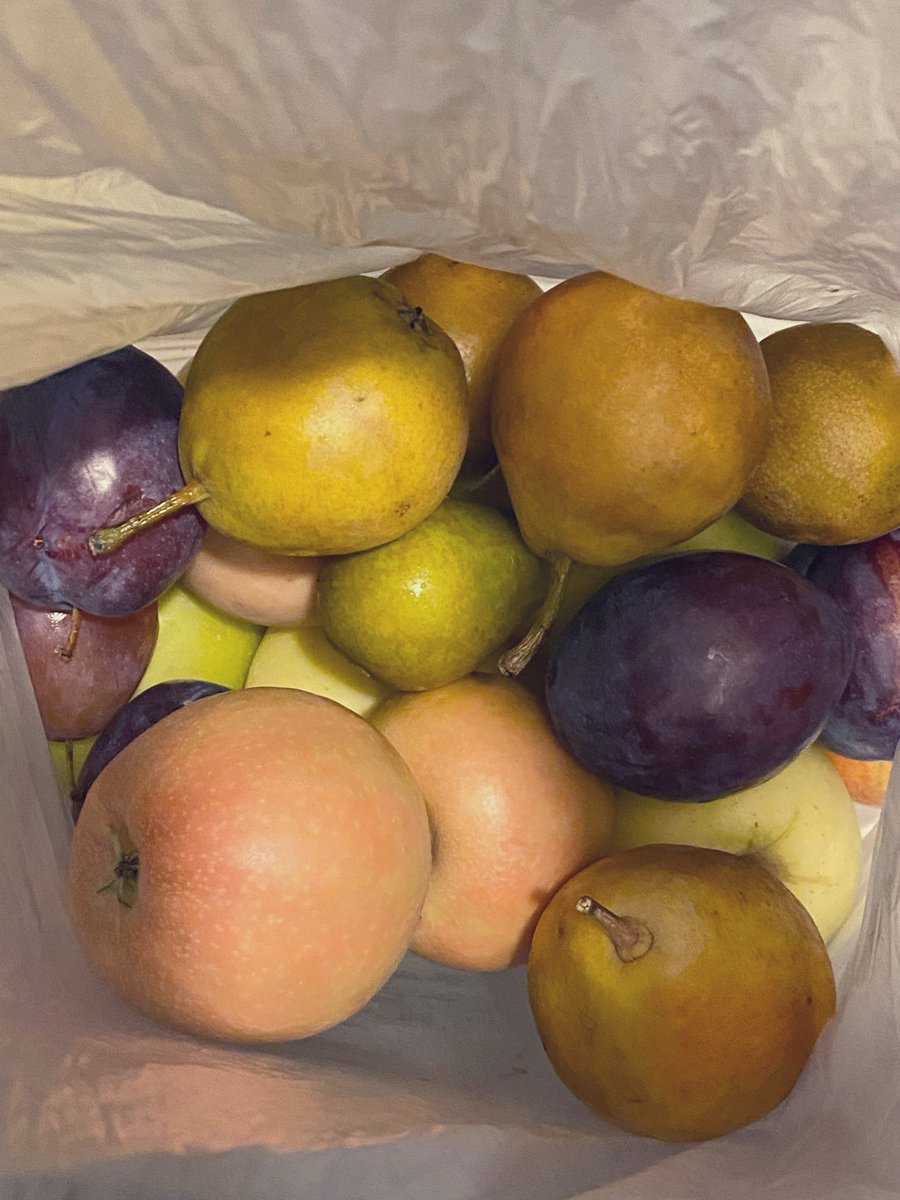 dulcebeloved's tweet photo. i got so much fruit🤤🤤 https://t.co/68cMl7TwzK