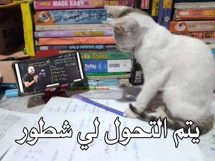 3il8li's tweet photo. ME vs Discrete Mathematics
كلكم ادعولي
حتى الكافر يدعي لي 🙏🏻 https://t.co/oMA0koNY7P