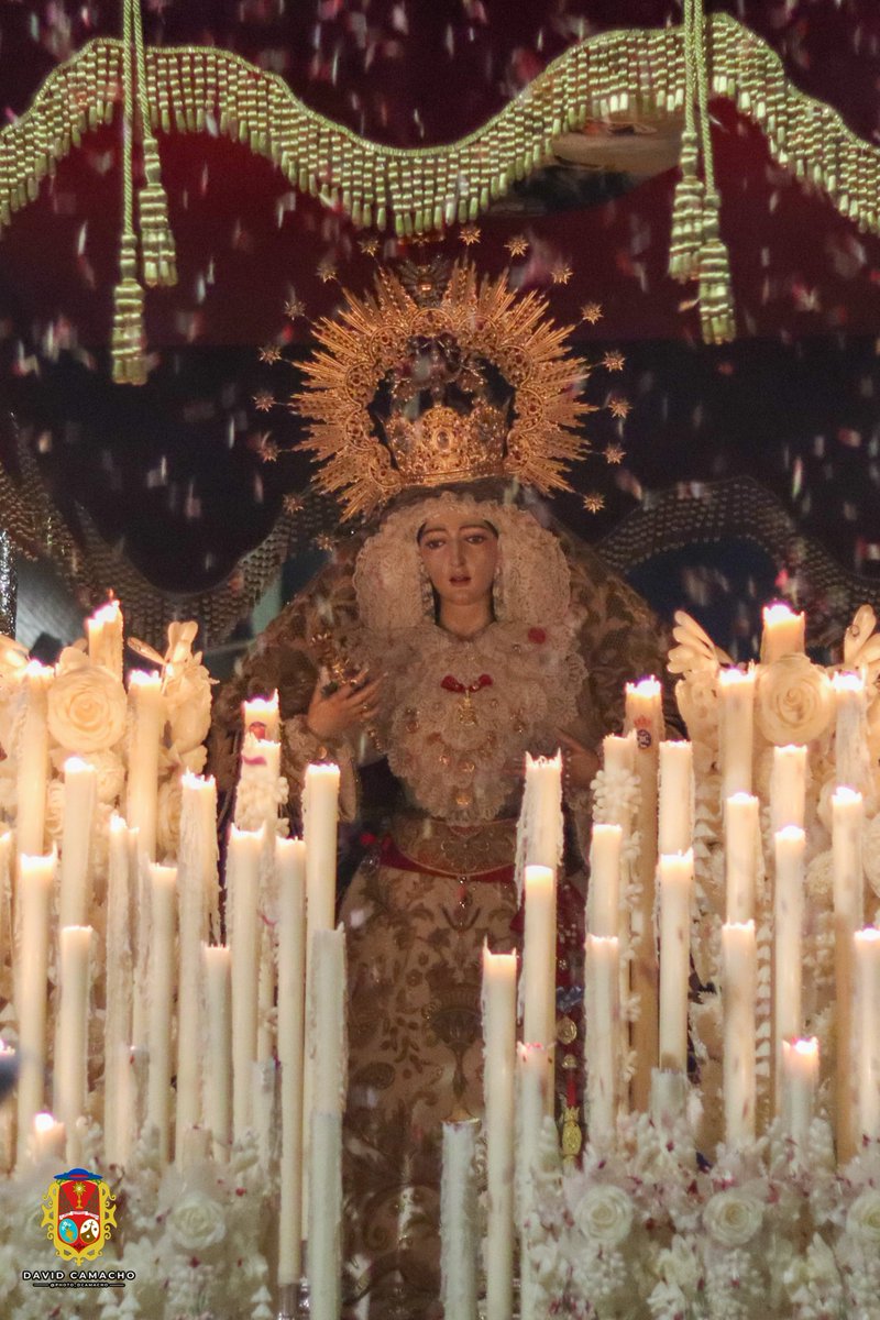 Hdadpadrepio's tweet photo. Los pétalos reciben a la Santísima Virgen en Lora de Estepa.  

📸 @djimenez_foto @photo_dcamacho

#DivinaGracia26 https://t.co/sdOKbY9alK