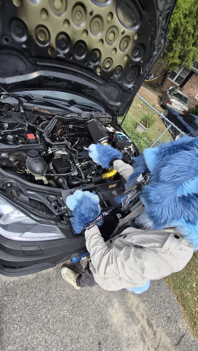 Paw_Jobs_LLC's tweet photo. Who let fro diag the car 😭 https://t.co/n9I6YEmc7l