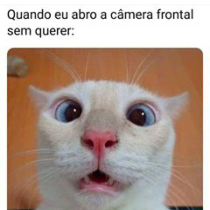 acervobichinho's tweet photo. https://t.co/H0c0cnuYle