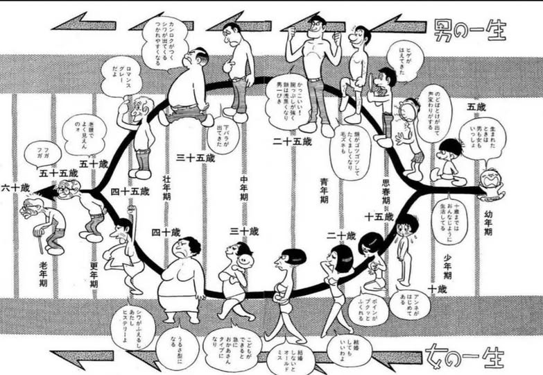 RetirementSemi's tweet photo. 55歳定年制だった昭和の頃は、60歳ころには酒とタバコでヨレヨレになって、70歳くらいで死にかけている老人が多かったからなぁ
今の70歳って当時の50歳くらいのイメージなんですよね

下のイラストは手塚治虫が1965年ころに書いたものらしいけど、中高年以降を20年ずらすとイメージ的に今にハマる https://t.co/PKD4BOJfBZ