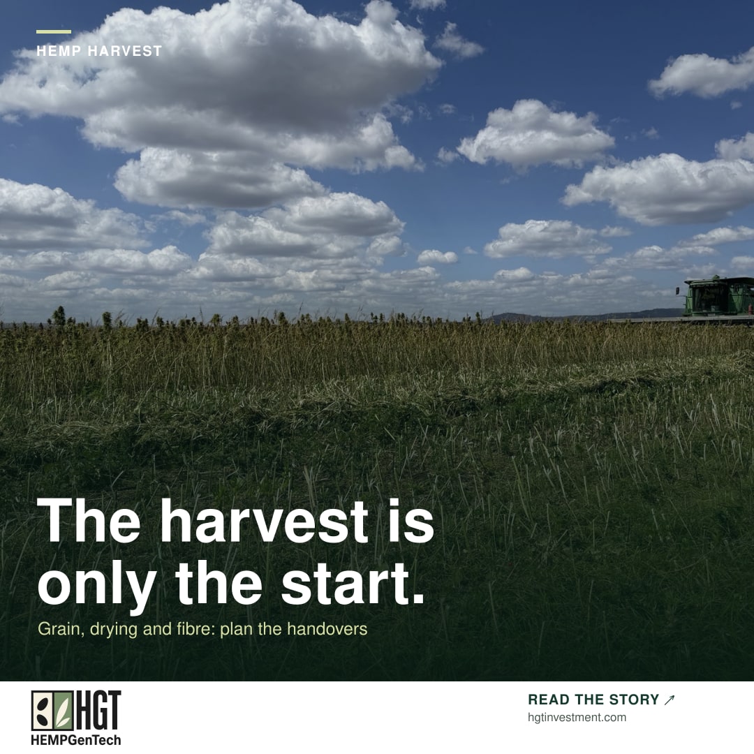 Hempgentech's tweet photo. A #hemp #harvest plan needs more than a machine booking.
The harvest is only the start. The real question is whether the whole system from #paddock to receiving, #drying, handling and #processing is ready to move with it.
Read more: https://t.co/SuLyNUQMCA
 #Crop #Bioeconomy https://t.co/vYrEc1x4KU