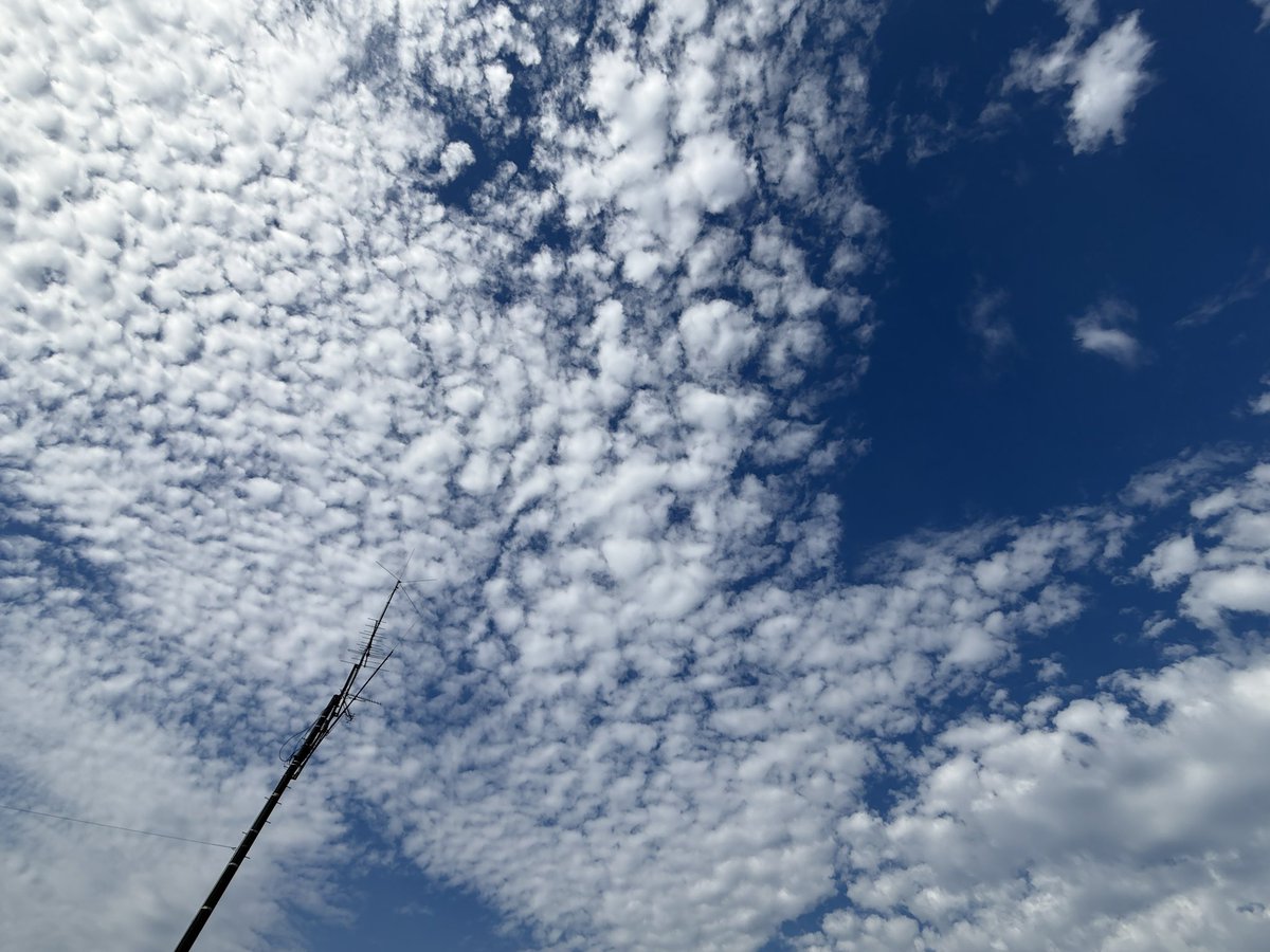 oceanmarine00's tweet photo. おはようございます！
本日の泉大津市は雲はやや多いですが、晴れています。
秋らしい雲が多いです！！
良き連休最終日をお過ごし下さい！！
＃イマソラ　＃泉大津市
＃企業公式が地元の天気を言い合う
 #スポーツの日
 #豆乳の日
 #鯛の日 https://t.co/OZsJyTf84p