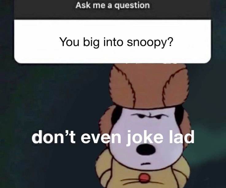 snooopymemories tweet picture