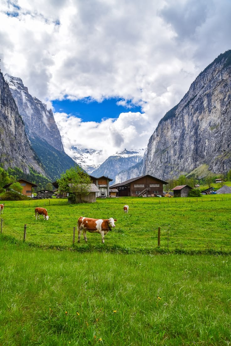 echoesofworld's tweet photo. Switzerland https://t.co/1lNspt77UP