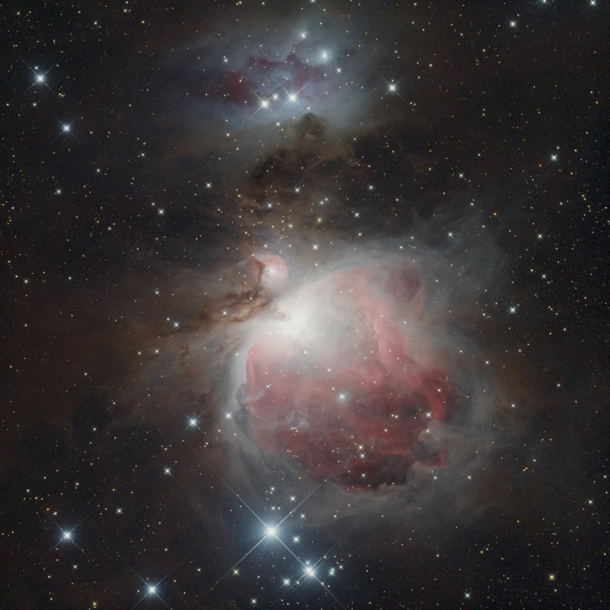 tattsukun_st's tweet photo. M42です。
本命の撮影がひと段落した後に空を見たら、南にオリオン座が輝いていたので、時期的に早いですが、撮影。
王者の貫禄ですねぇ。

間違えて消してしまったので、またアップしてます。 https://t.co/OpZuVWXXZz
