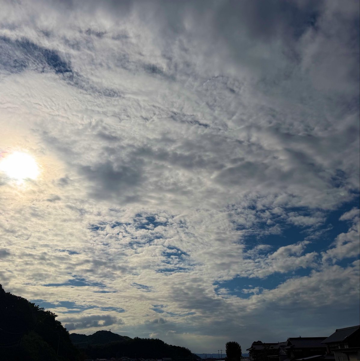 work68000's tweet photo. おはようございます

今日は疲れが溜まったので、ゆっくり起床の朝です。のんびりと過ごそうと思います。

よい一日になりますように🍀 https://t.co/3k1pIReSkB