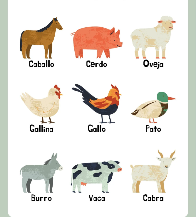 ElTanoOpina's tweet photo. PONER 5 ANIMALES CON EL TT:

PINCOYA A FIEBRE DE CANTO

-COMENTAR
-DAR RT https://t.co/RRmgW3W3bT
