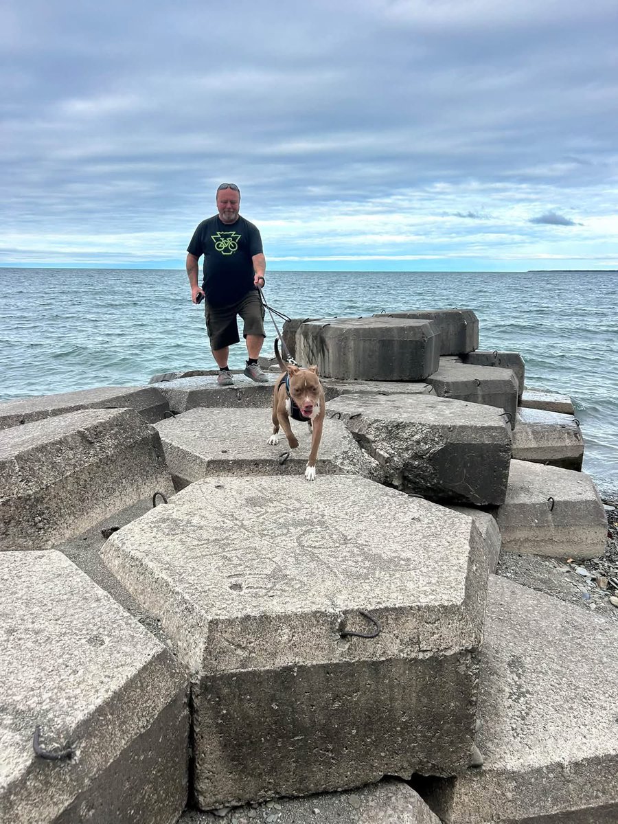 BadDogsPa's tweet photo. Took Brownie to Walnut Creek Access https://t.co/QJ06cBEPM4