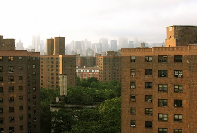 polyfraggrenade's tweet photo. i feel like new deal aesthetics are, strangely, the closest lens into what a 20th century socialist america would've looked like https://t.co/hW8kCqqHKG