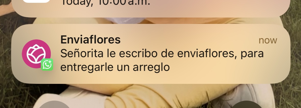 enviaflores's tweet photo. *Yo huyendo del amor*
El universo en corto: https://t.co/6IMreAHqz0