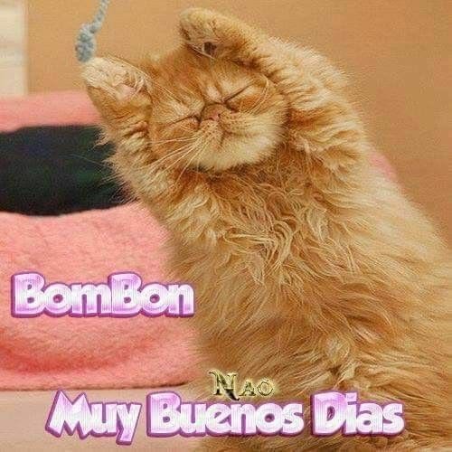 rohanslayr's tweet photo. Buenos días mutis, me quedé viendo jojos toda la noche https://t.co/0j8yGj35w6