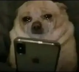 Source media 1 from @colercooks
