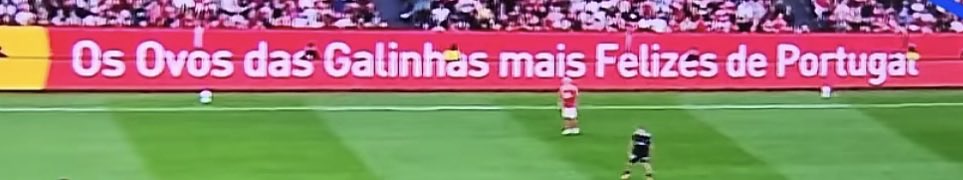 d20fernandes's tweet photo. Doidas, Doidas, Doidas https://t.co/QqtD5avCXJ