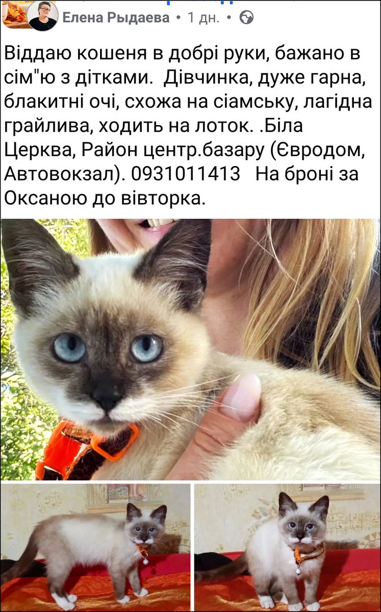 Bylbyleva's tweet photo. https://t.co/HR2dVTZNGn