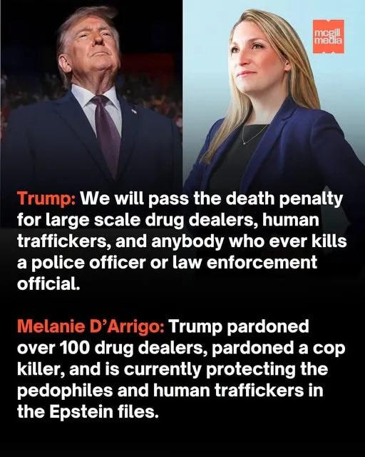 DianaCialino tweet picture