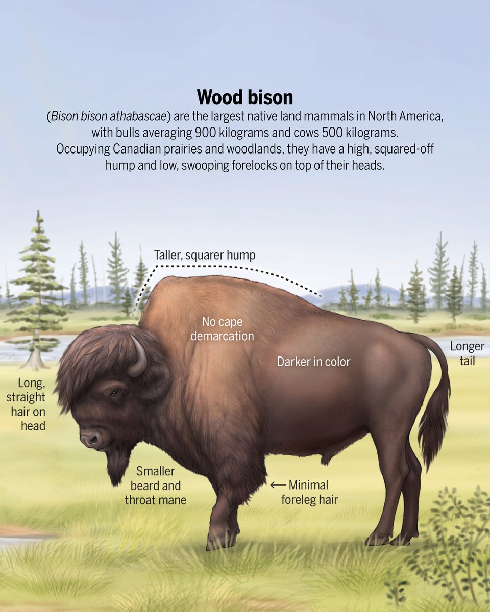 NewsfromScience tweet picture