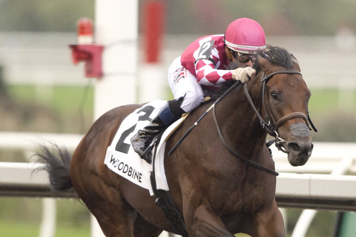 jensblog's tweet photo. Odenkirk, by Nyquist, became Mark Casse's 8th Display Stakes winner on Oct. 11. Ontario Bred colt beat 3 rivals and is 3rd Display winner for @DJ_Stable after Jupiter and Helium.
Bred by David Anderson.
Michael Burns photo https://t.co/S8GFjP66Fd